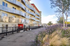 Photo 6- click for photo gallery